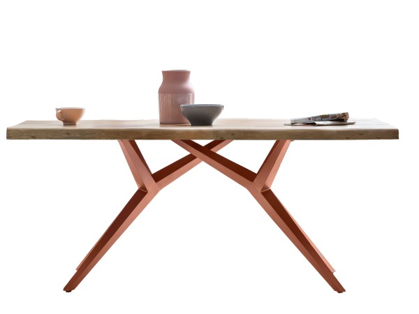 Tisch 220x100 cm TABLES & CO Platte Mango, Gestell Metall